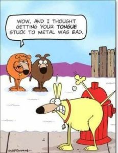 Stupid Bar Memes 7aa22a904a0078ce
