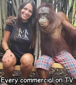 Stupid Bar Memes 7b1b21ff443d7abf