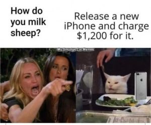 Stupid Bar Memes 7ebbd65124638bd5