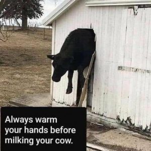 Stupid Bar Memes 7f34e9aa19923dbe