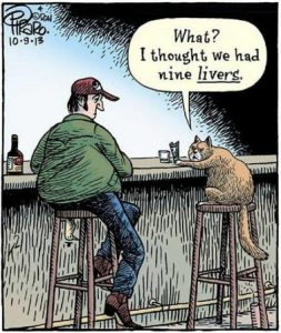 Stupid Bar Memes 7f5dc3084a188c04