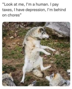 Stupid Bar Memes 7f7c853cf096af59
