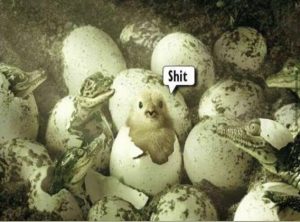 Stupid Bar Memes 808a761a4b64c7ca