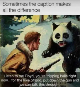 Stupid Bar Memes 8286e978ca9951d1