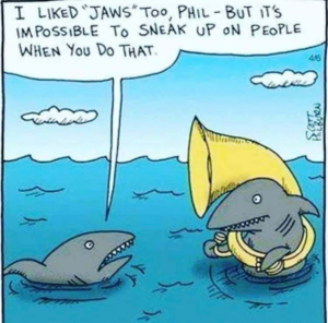 Stupid Bar Memes 862ddcf12986e1d2