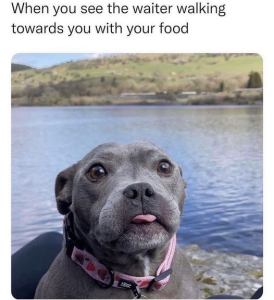 Stupid Bar Memes 8adfc2842ec3ae43