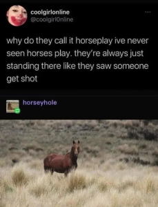 Stupid Bar Memes 8bKqfym