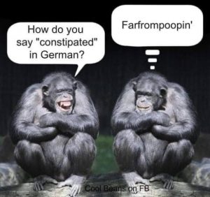 Stupid Bar Memes 8c2373f7c24bd740