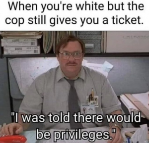 Stupid Bar Memes 8cfca67213614f5a