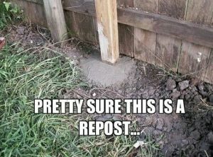 Stupid Bar Memes 9302229837b096dd
