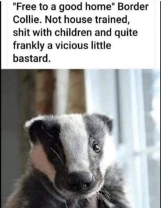 Stupid Bar Memes 94926c647edce5c8