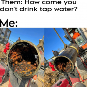 Stupid Bar Memes 9ac590e85437b4ff