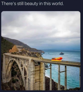 Stupid Bar Memes 9bf6fb4837e64b7e