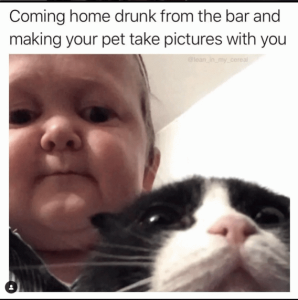 Stupid Bar Memes 9e23bc8f4d8f82df