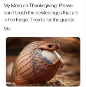 Stupid Bar Memes 9eb9e2662057d13b