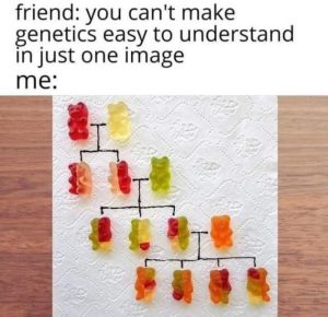 Stupid Bar Memes BSVrTpb
