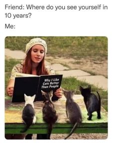 Stupid Bar Memes FaKEjhh