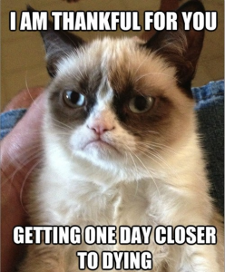 Stupid Bar Memes GrumpysCatsMemesthanksgiving