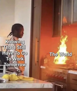 Stupid Bar Memes Jfpb78L