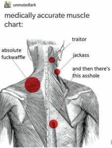 Stupid Bar Memes M5Y4iot