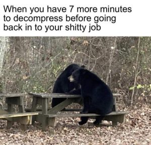 Stupid Bar Memes NhTgSfG