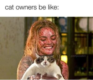 Stupid Bar Memes PIJUVHU