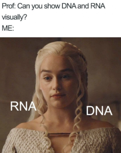 Stupid Bar Memes WMAs11s19s23ssponsors1s16