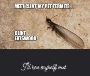 Stupid Bar Memes a0ac8ce43fe144a7