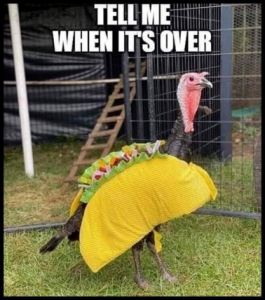 Stupid Bar Memes a3412dce68160529