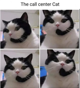 Stupid Bar Memes a9767297e1dcce50