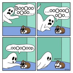 Stupid Bar Memes aBdzv82s700b