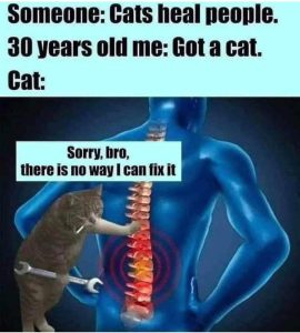 Stupid Bar Memes aVb6Pwd 700b