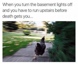 Stupid Bar Memes aae7840106e5eaf5