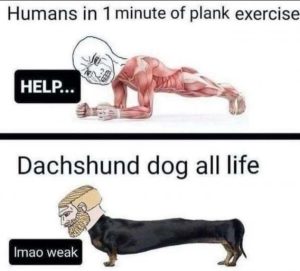 Stupid Bar Memes ab722380c41809bd