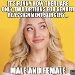 Stupid Bar Memes acc88e9bb3d35444
