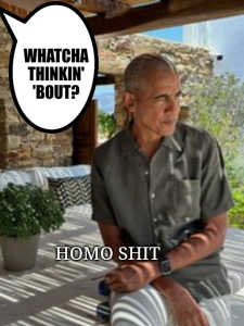 Stupid Bar Memes ad306179cda5fa44