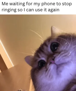 Stupid Bar Memes af2849f559d0a416