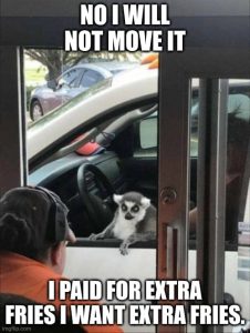 Stupid Bar Memes amAZYpX 700b