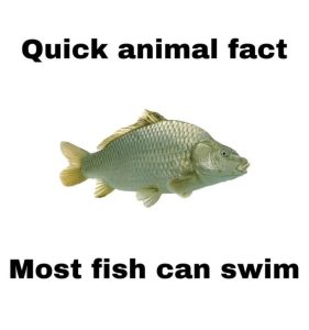 Stupid Bar Memes anzoeXV 700b