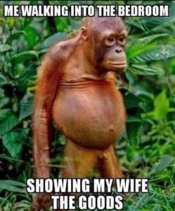 Stupid Bar Memes awZpN71 700b