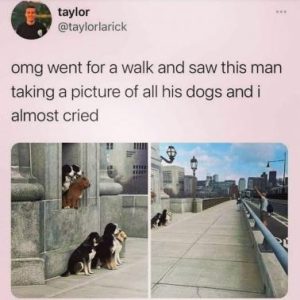 Stupid Bar Memes b09257d285cb1a90