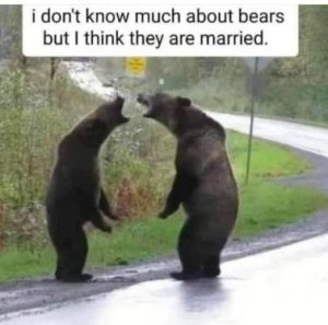 Stupid Bar Memes b1dca799b080932d