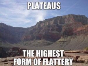 Stupid Bar Memes b1fa8d0f617427c0
