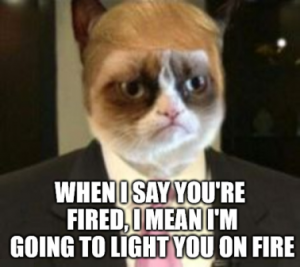 Stupid Bar Memes b224d46f5ee9b5e1