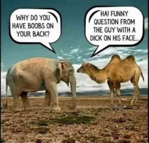 Stupid Bar Memes b29feb77b4f2da1b