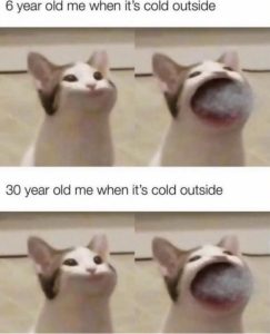 Stupid Bar Memes b5a4a6a2e7ed51ff