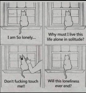 Stupid Bar Memes b615b341aa654982
