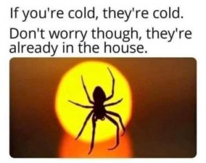 Stupid Bar Memes b64777d510940722