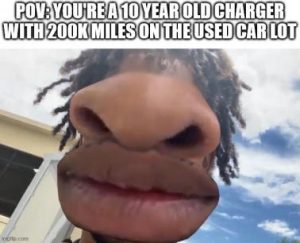 Stupid Bar Memes b6733f531c55d40e