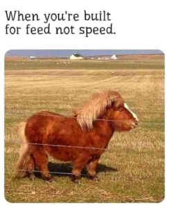 Stupid Bar Memes b6a2033c9deb8c68